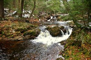 Overlooked Falls