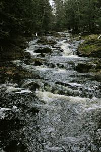 Greenstone Falls