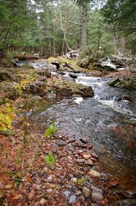 Unnamed Falls of the Little Carp River just upstream of the footbridge